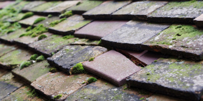 Pondersbridge roof repair costs